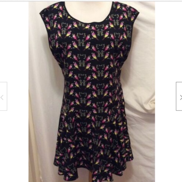 Cynthia Steffe Dresses & Skirts - CeCe Cynthia Steffe Dress 8 Black Blue Pink Bird